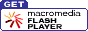 Flash 4.0
