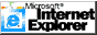 Internet Explorer 5.0